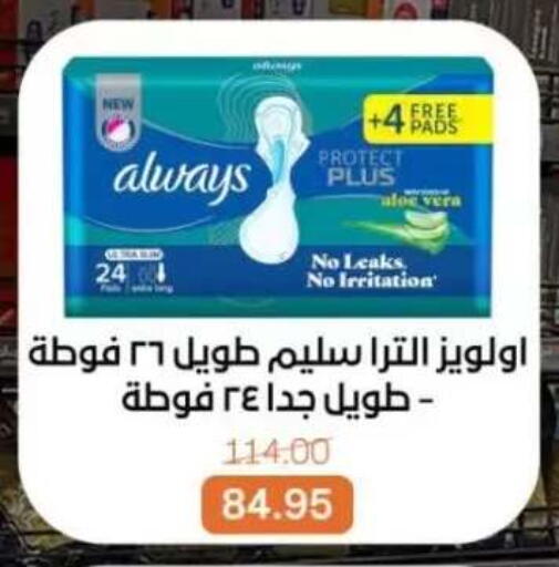 available at بيت الجملة in Egypt - القاهرة