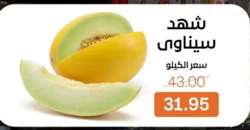 available at بيت الجملة in Egypt - القاهرة