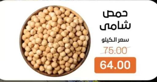 available at بيت الجملة in Egypt - القاهرة