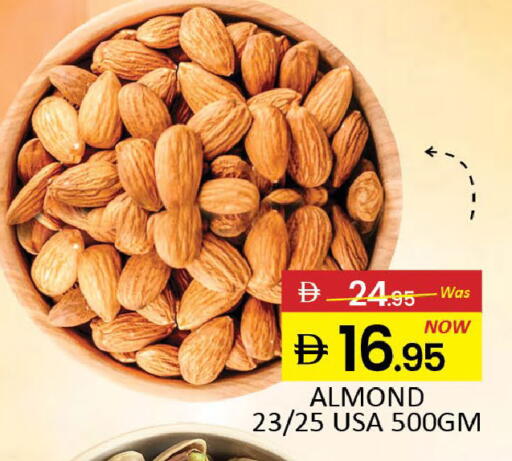 Mango available at مانجو هايبرماركت in الإمارات العربية المتحدة , الامارات - دبي
