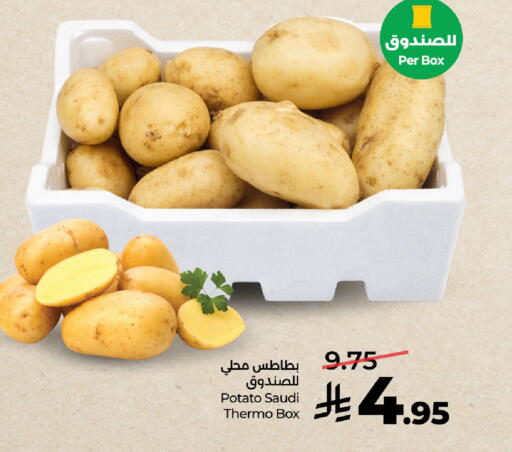 Potato from Saudi Arabia available at لولو هايبرماركت in مملكة العربية السعودية, السعودية, سعودية - جدة