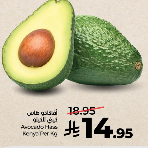 Avocado from Kenya available at LULU Hypermarket in KSA, Saudi Arabia, Saudi - Khamis Mushait