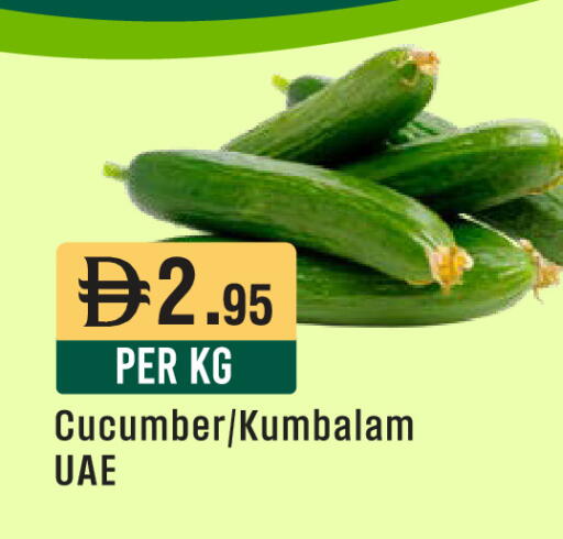 Cucumber available at ويست زون سوبرماركت in الإمارات العربية المتحدة , الامارات - دبي