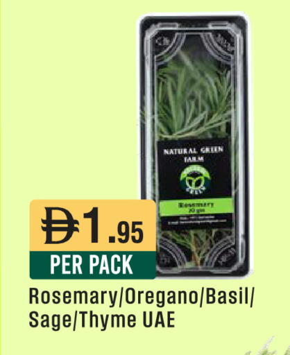 Rosemary Oregano Basil Sage Thyme available at ويست زون سوبرماركت in الإمارات العربية المتحدة , الامارات - دبي