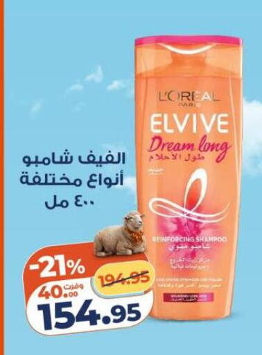 available at كازيون in Egypt - القاهرة