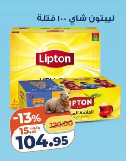 available at كازيون in Egypt - القاهرة