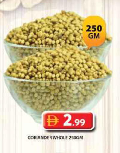 Coriander available at جراند هايبر ماركت in الإمارات العربية المتحدة , الامارات - دبي