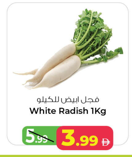 Radish available at أنصار مول in الإمارات العربية المتحدة , الامارات - الشارقة / عجمان