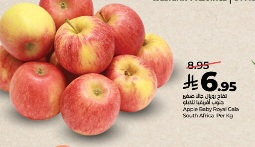 Apple from South Africa available at LULU Hypermarket in KSA, Saudi Arabia, Saudi - Yanbu