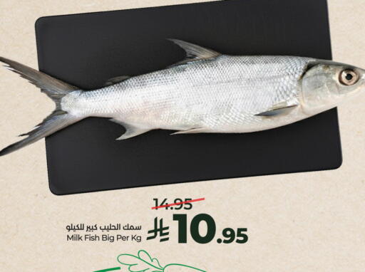 available at لولو هايبرماركت in مملكة العربية السعودية, السعودية, سعودية - الرياض