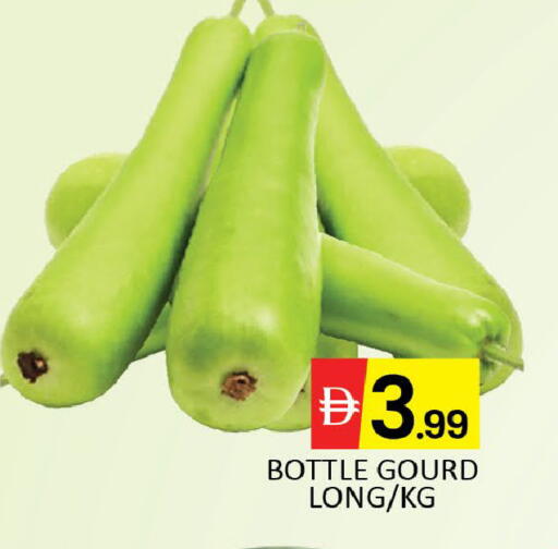 Mango available at مانجو هايبرماركت in الإمارات العربية المتحدة , الامارات - دبي