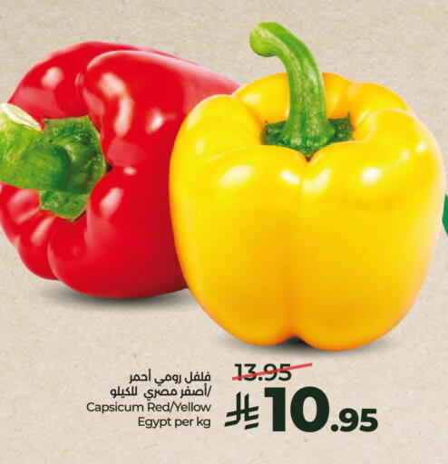Capsicum from Egypt available at لولو هايبرماركت in مملكة العربية السعودية, السعودية, سعودية - الرياض