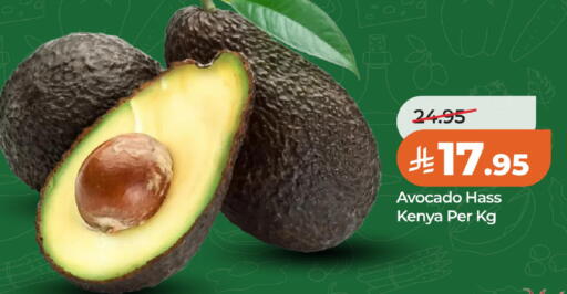 Avocado from Kenya available at LULU Hypermarket in KSA, Saudi Arabia, Saudi - Al Khobar