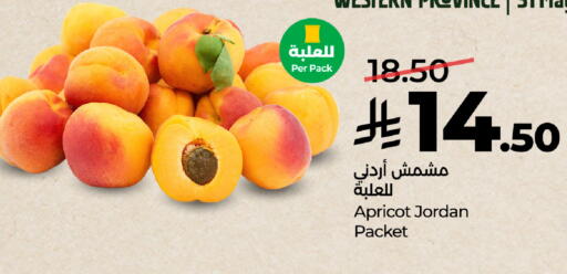 Apricot from Jordan available at LULU Hypermarket in KSA, Saudi Arabia, Saudi - Khamis Mushait