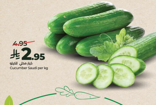Cucumber from Saudi Arabia available at لولو هايبرماركت in مملكة العربية السعودية, السعودية, سعودية - الرياض