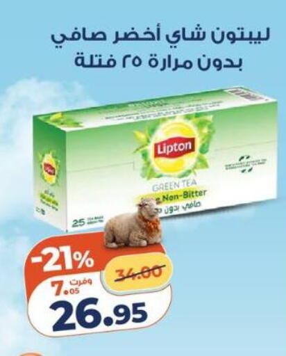 available at كازيون in Egypt - القاهرة