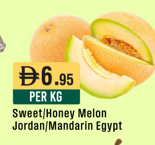 Melon Mandarin from Jordan Egypt available at ويست زون سوبرماركت in الإمارات العربية المتحدة , الامارات - دبي