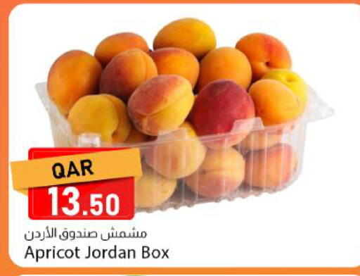 Apricot from Jordan available at Dana Market in Qatar - Al Rayyan