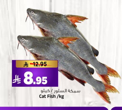 available at المدينة هايبرماركت in مملكة العربية السعودية, السعودية, سعودية - الرياض