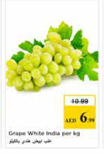 from India available at نستو هايبرماركت in الإمارات العربية المتحدة , الامارات - أبو ظبي