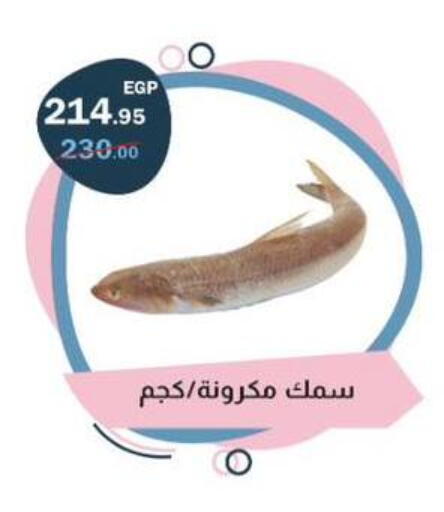 available at Flamingo Hyper Market in Egypt - Cairo