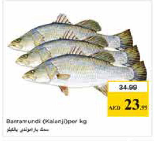 available at نستو هايبرماركت in الإمارات العربية المتحدة , الامارات - أبو ظبي