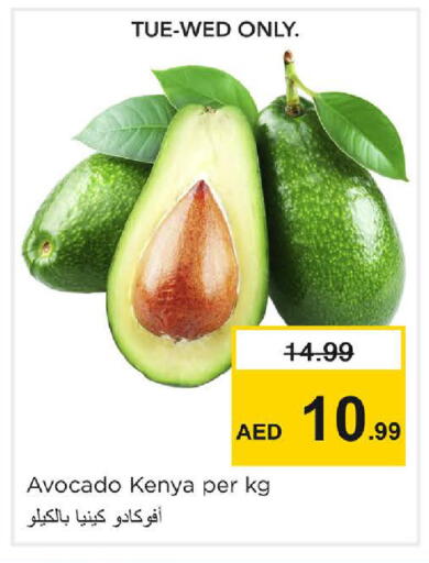 Avocado from Kenya available at Nesto Hypermarket in UAE - Sharjah / Ajman
