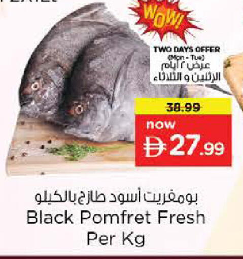 available at نستو هايبرماركت in الإمارات العربية المتحدة , الامارات - الشارقة / عجمان