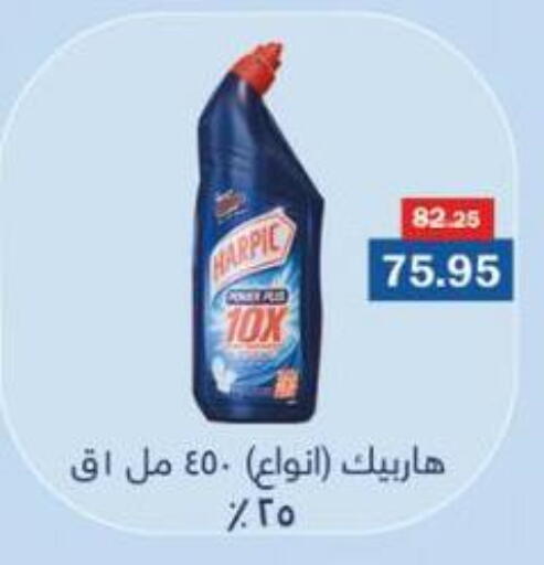 available at Flamingo Hyper Market in Egypt - Cairo