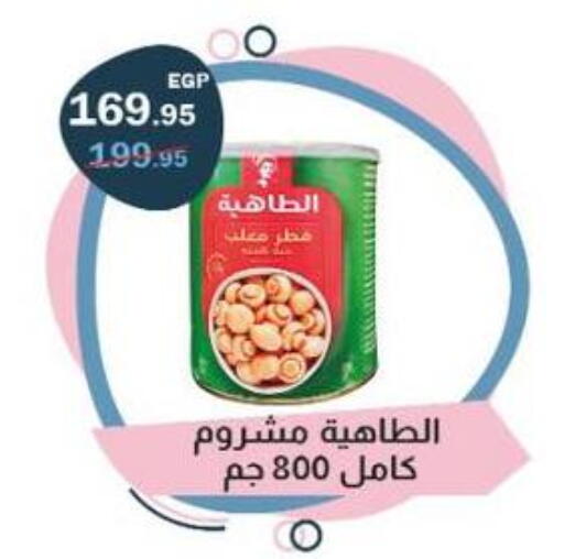 available at Flamingo Hyper Market in Egypt - Cairo