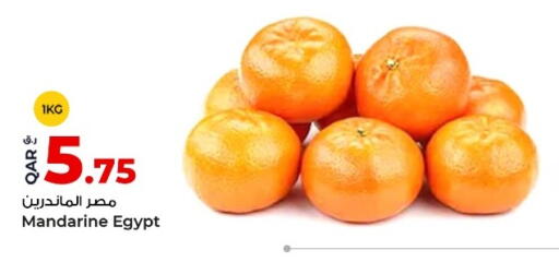 from Egypt available at روابي هايبرماركت in قطر - الخور