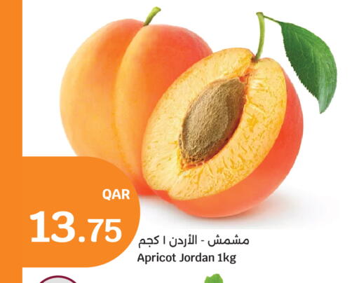 Apricot available at City Hypermarket in Qatar - Doha