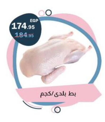 available at فلامنجو هايبرماركت in Egypt - القاهرة