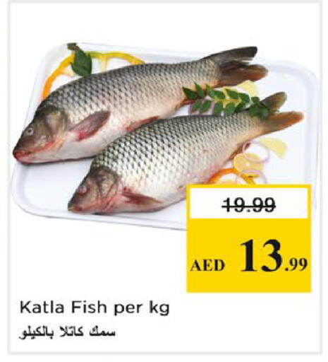 available at Nesto Hypermarket in UAE - Ras al Khaimah