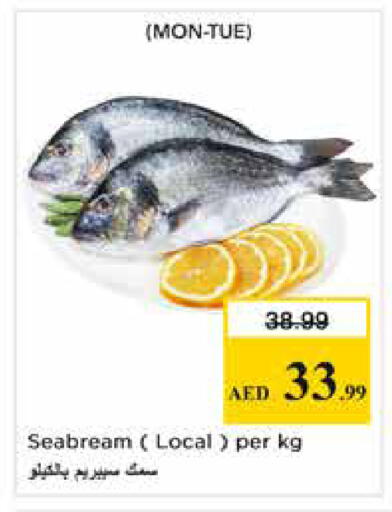 available at Nesto Hypermarket in UAE - Dubai