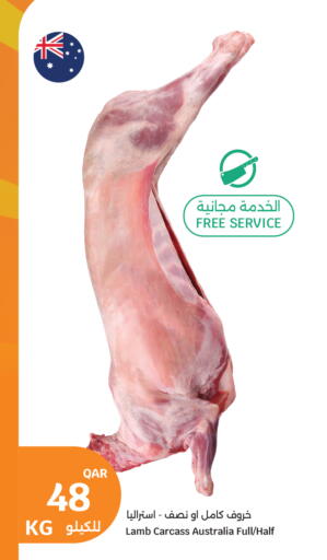 available at سيتي هايبرماركت in قطر - الدوحة