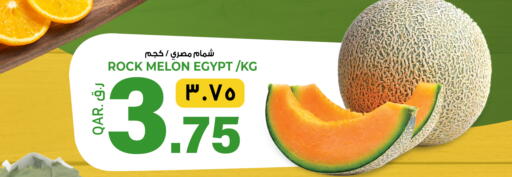 Melon from Egypt available at السعودية in قطر - أم صلال