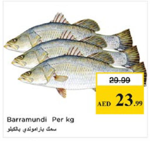 available at Nesto Hypermarket in UAE - Al Ain