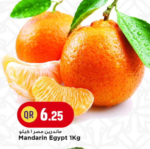 Mandarin from Egypt available at مرزا هايبرماركت in قطر - الشحانية