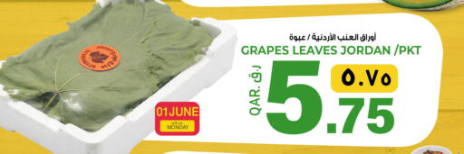 Grapes from Jordan available at السعودية in قطر - أم صلال