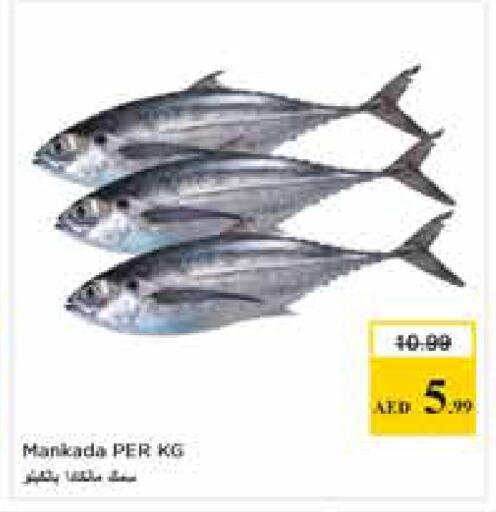 available at نستو هايبرماركت in الإمارات العربية المتحدة , الامارات - الشارقة / عجمان