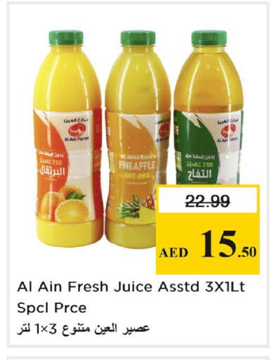 Pineapple available at Nesto Hypermarket in UAE - Dubai