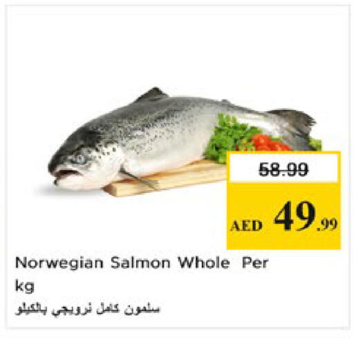 available at Nesto Hypermarket in UAE - Al Ain