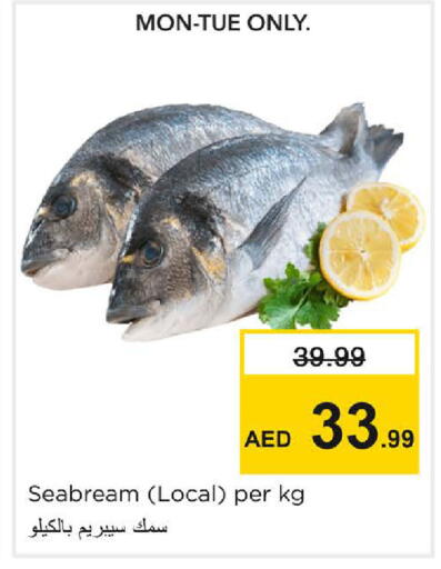 available at نستو هايبرماركت in الإمارات العربية المتحدة , الامارات - الشارقة / عجمان