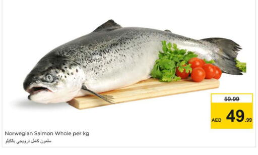 available at Nesto Hypermarket in UAE - Dubai