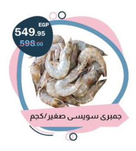 available at Flamingo Hyper Market in Egypt - Cairo