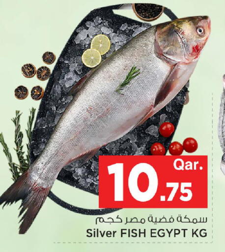 available at مارك & سيف in قطر - أم صلال