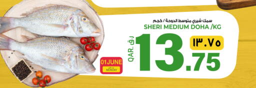 available at السعودية in قطر - أم صلال