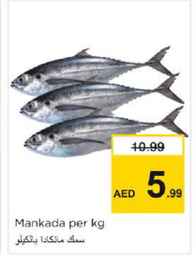 available at Nesto Hypermarket in UAE - Dubai