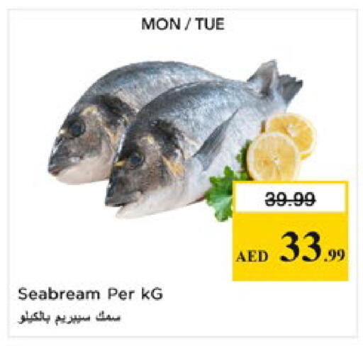 available at Nesto Hypermarket in UAE - Al Ain